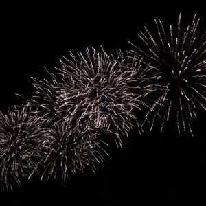 Meet your Posher, Maddi